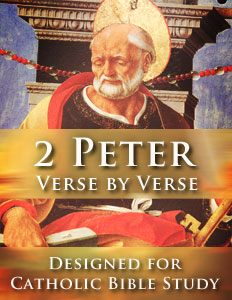 2 Peter Verse by Verse Designed for Catholic Bible Study